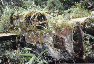 Illustration for article titled Real-Life Lost Relic Found Over and Over Again